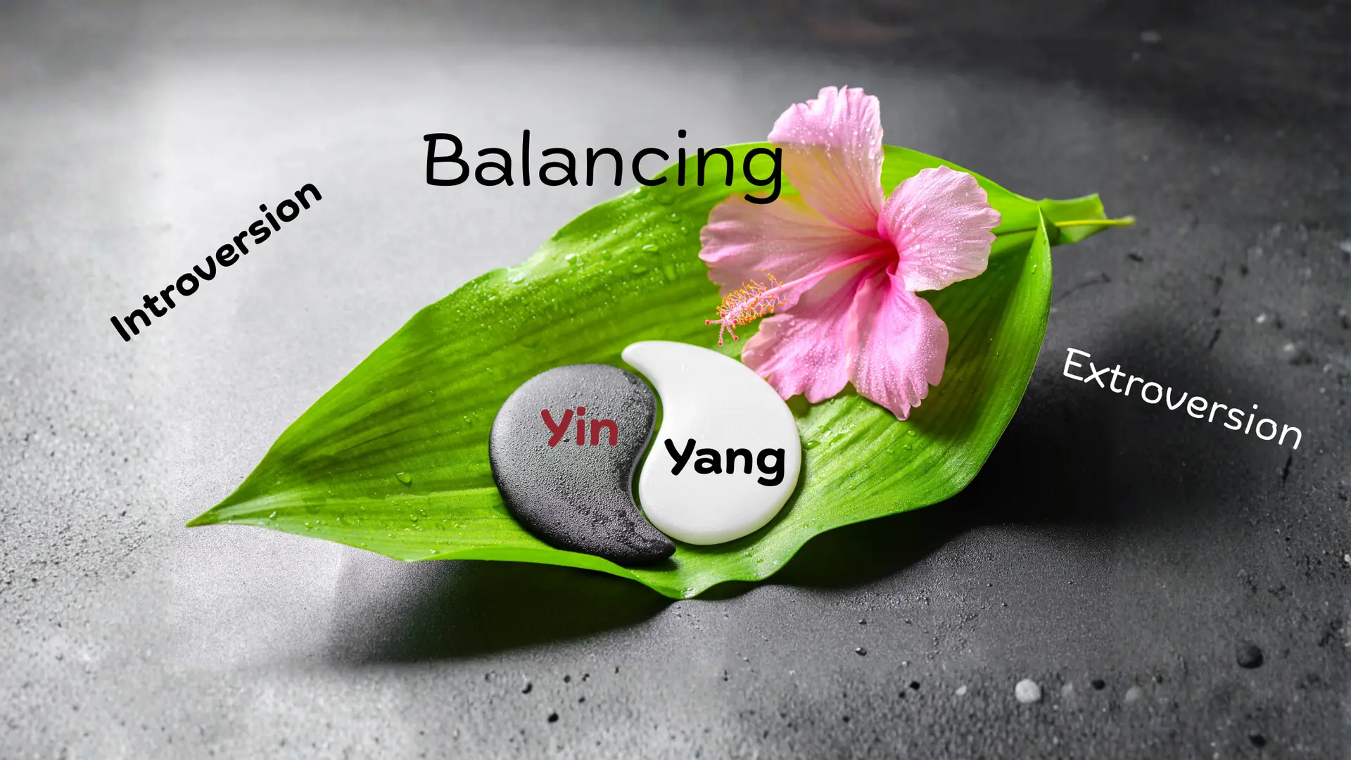Yin und Yang im Gleichgewicht: | MARINOKO